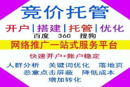 专业SEM托管：成功提升广告效果的案例分析